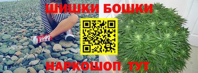 гидра Берёзовский