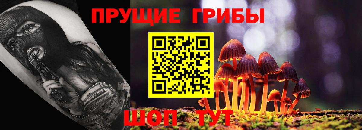 Псилоцибиновые грибы Psilocybine cubensis Ижевск