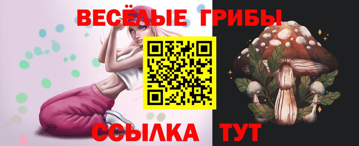Псилоцибиновые грибы GOLDEN TEACHER  хочу наркоту  Ижевск  Вход с VPN  Псилоцибиновые грибы GOLDEN TEACHER 