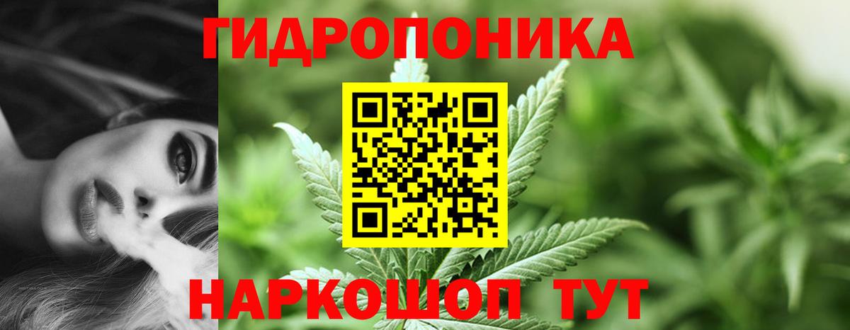 Бошки марихуана SATIVA & INDICA  Марихуана VHQ  Вход с VPN  Ижевск 